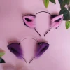 تل گوش بچه گربه