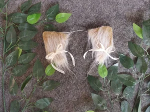 تل گربه ای کرم